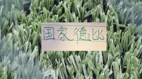 “赛前紧急通知茹萨缺阵 海港面临争议判罚挑战”